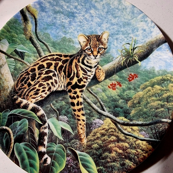 Great Cats Of The Americas "The Margay" Plate, 1990 - Picture 4 of 4